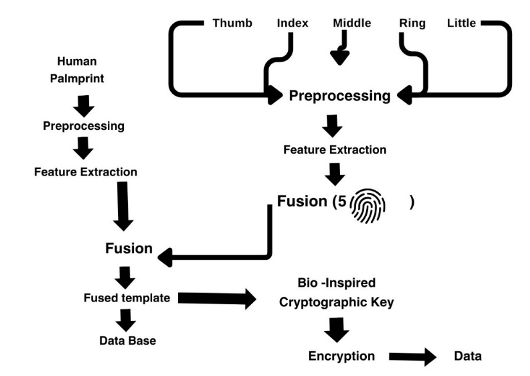 Multimodal biometric encryption flow