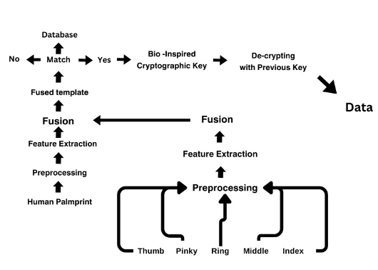 Multimodal biometric decryption flow